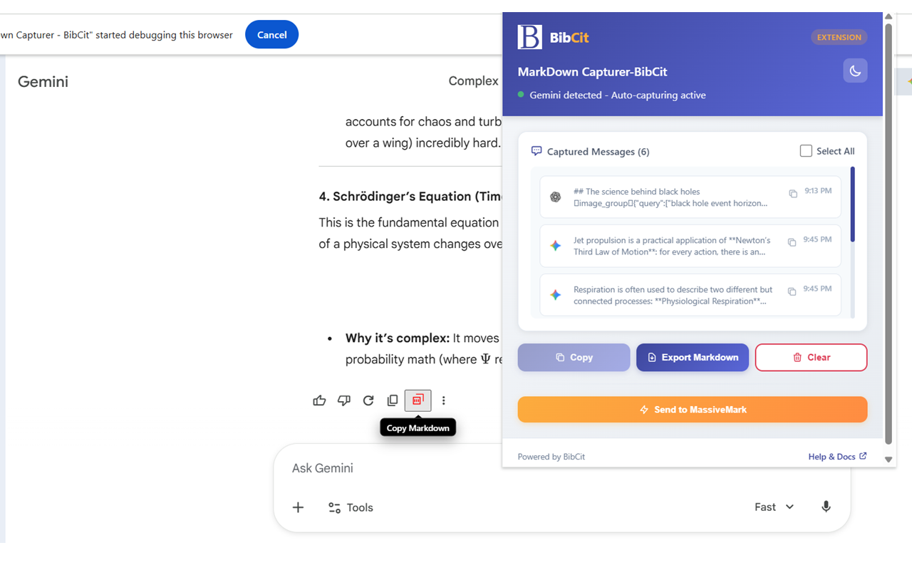 Markdown Capturer - BibCit - 截图 4