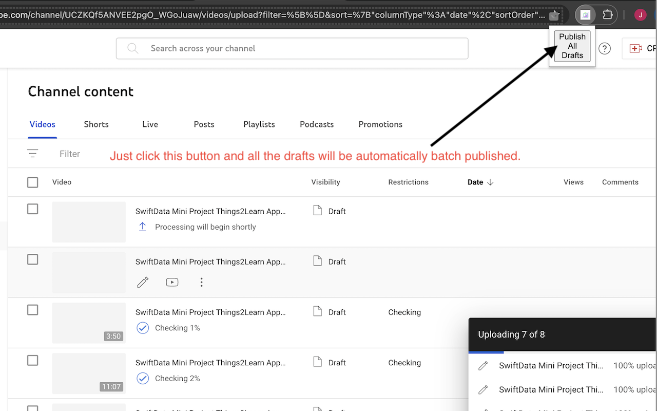 YouTube Video Batch Publisher - 截图 1