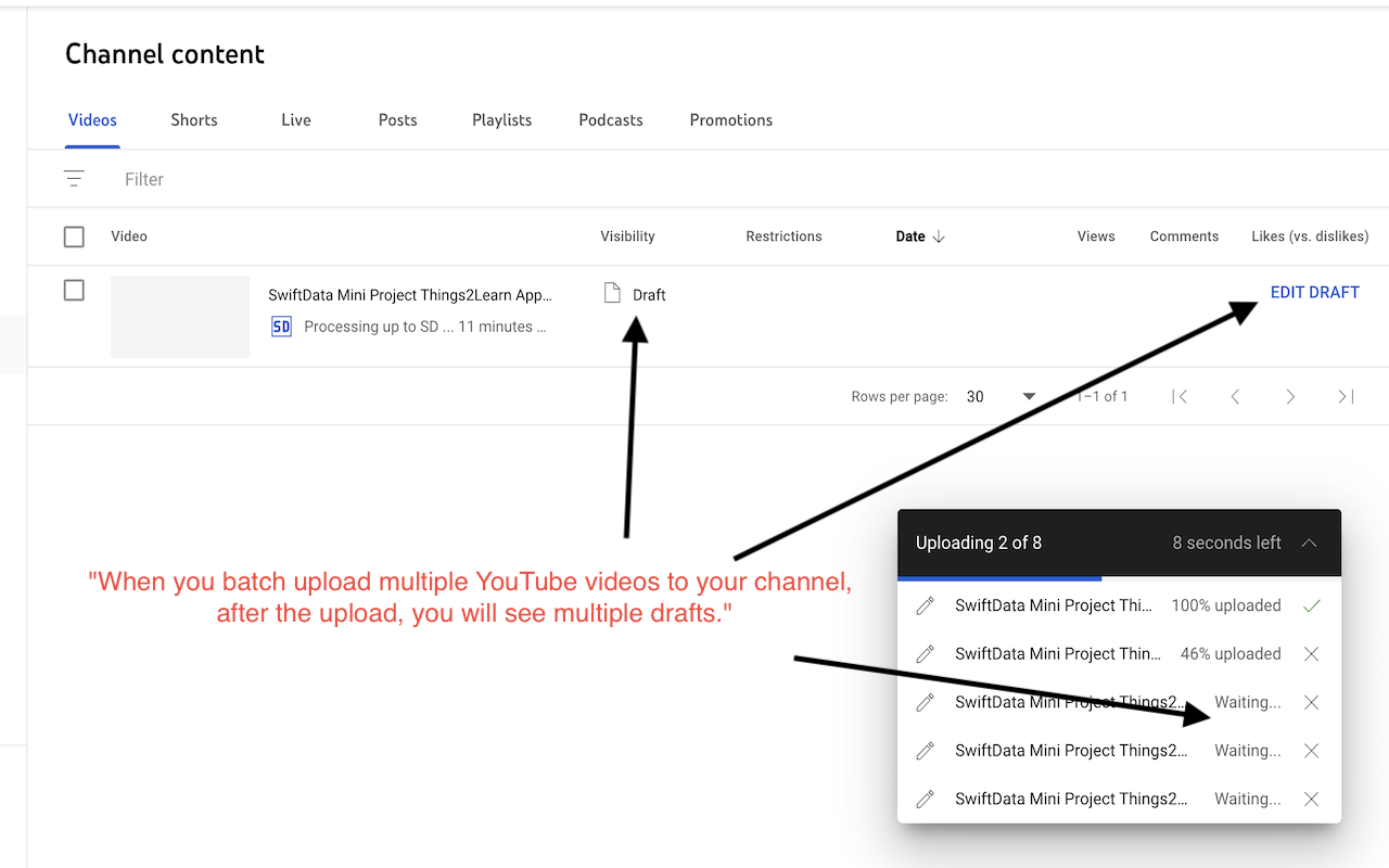 YouTube Video Batch Publisher - 截图 2