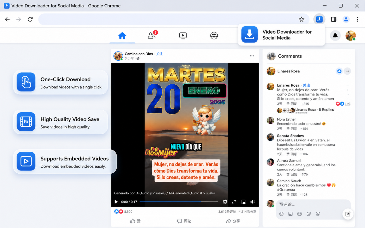 Facebook视频下载器 - 从Facebook下载视频 - 截图 3