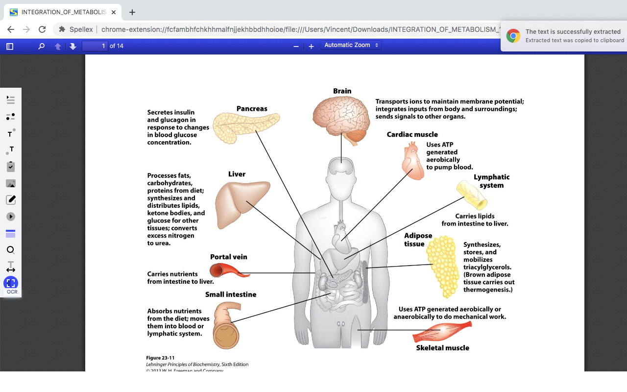 Spellex Write-Assist for Chrome - 截图 2
