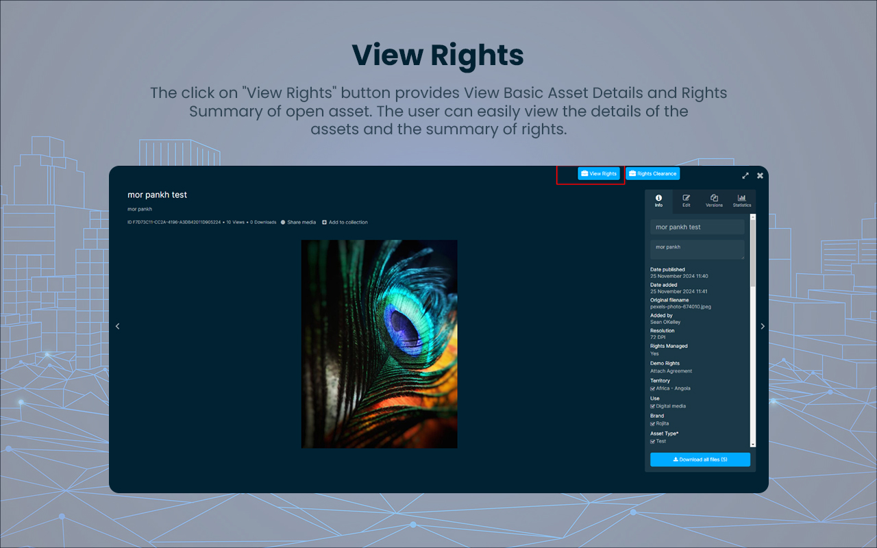 Bynder Connector for Brand Vision-Rights Cloud - 截图 3