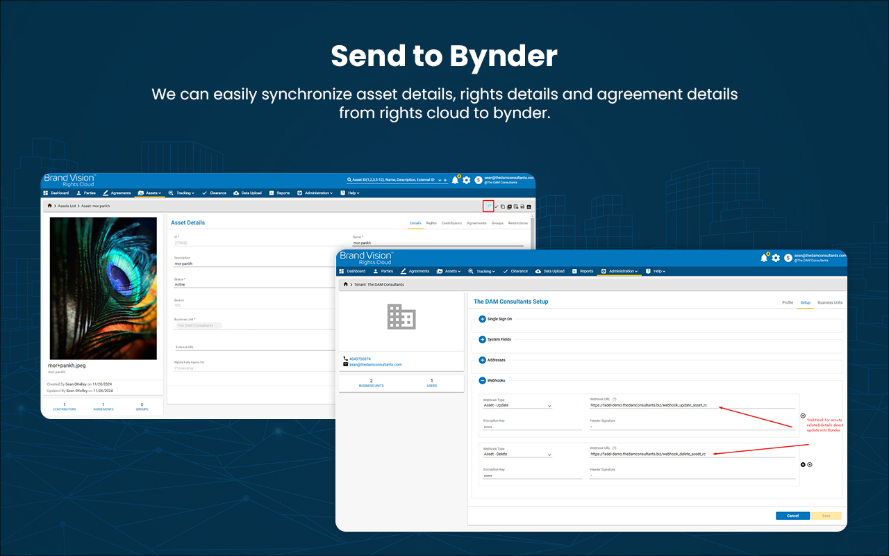 Bynder Connector for Brand Vision-Rights Cloud - 截图 4