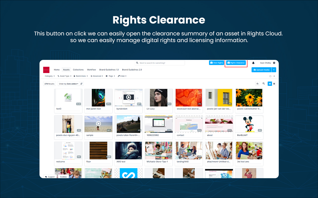 Bynder Connector for Brand Vision-Rights Cloud - 截图 5