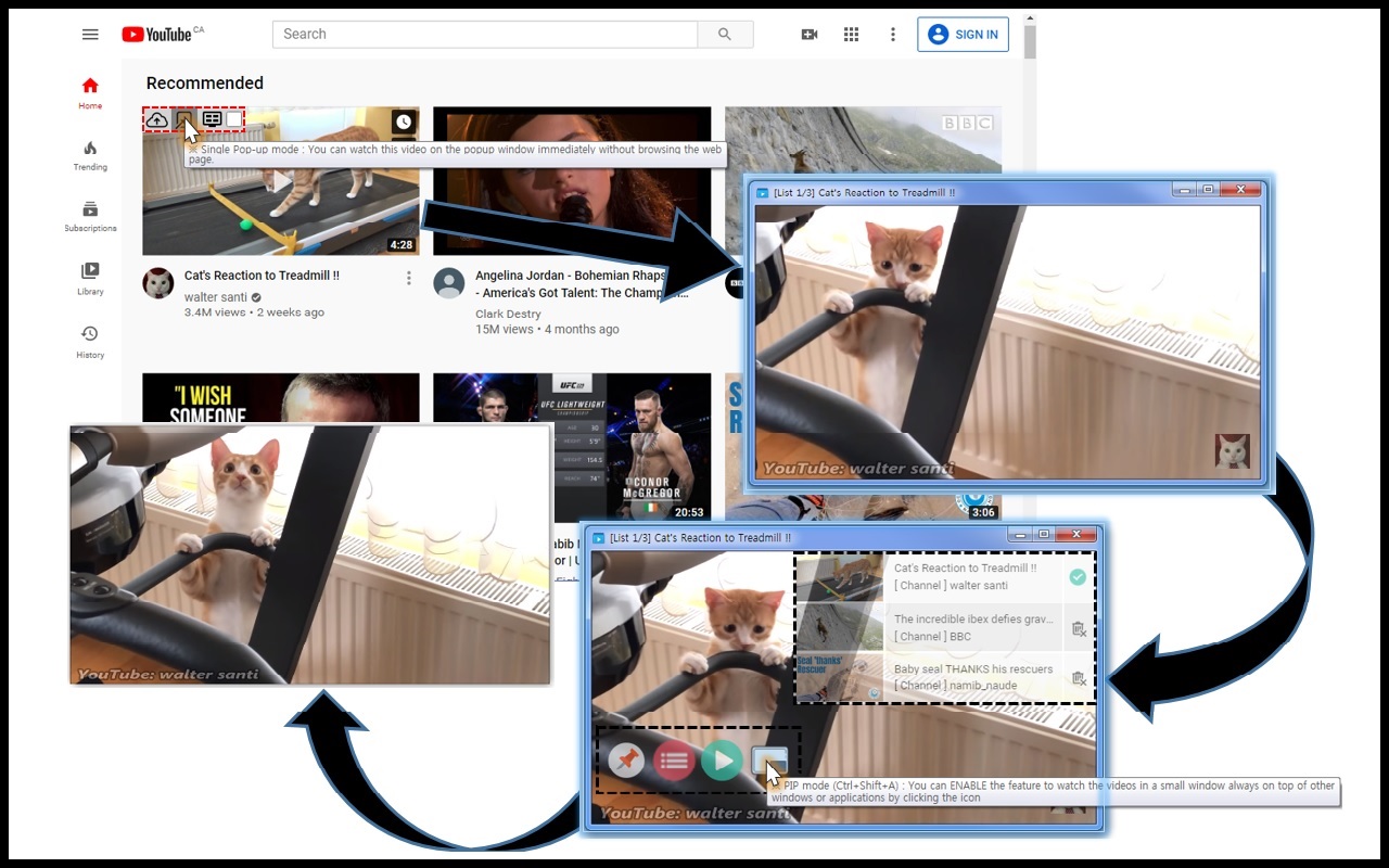 Easy-Watch for YouTube - 截图 2