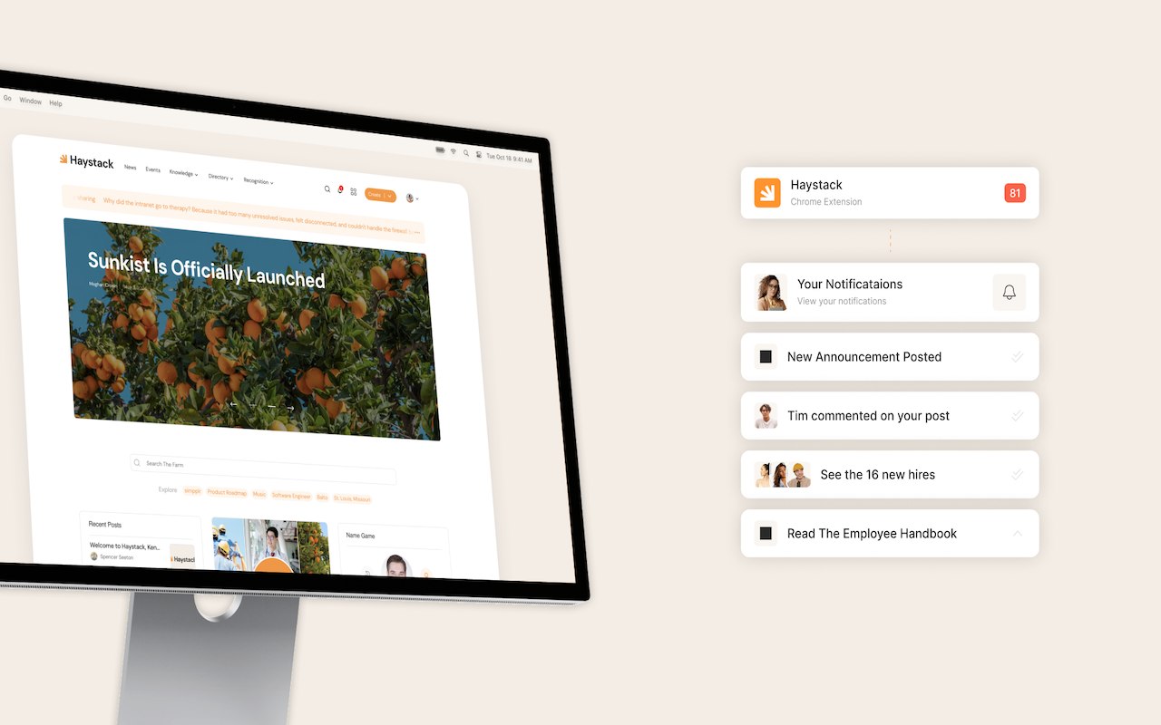 Haystack Intranet - 截图 1