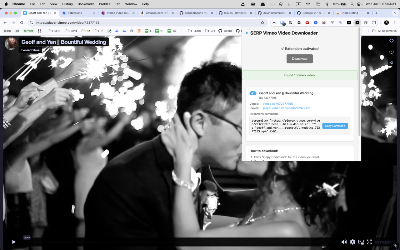 Downloader for Vimeo - 截图 1