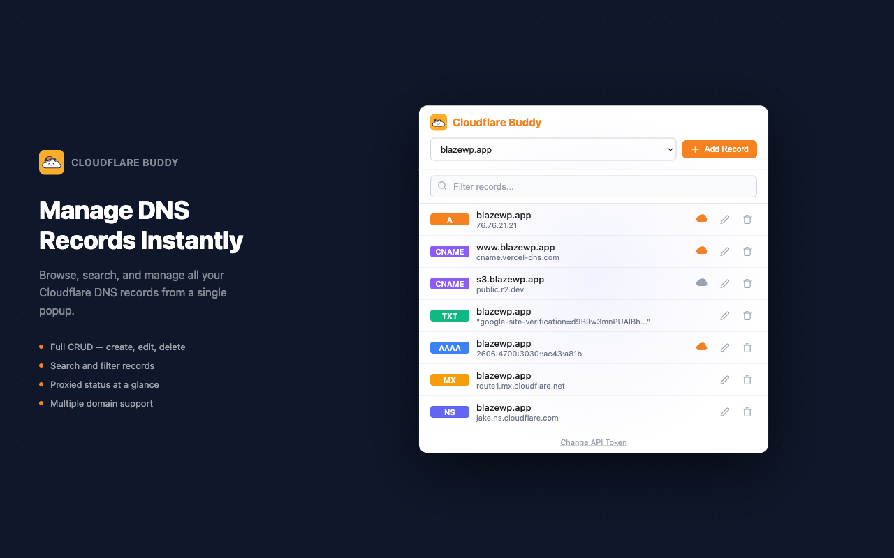 Cloudflare Buddy - DNS Record Manager - 截图 2