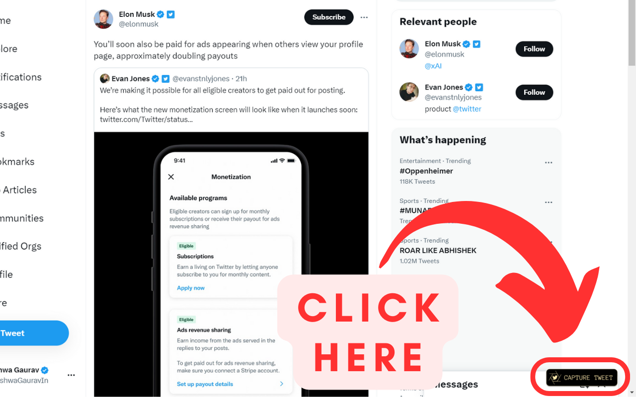 Capture My Tweet 🐦 - 截图 2