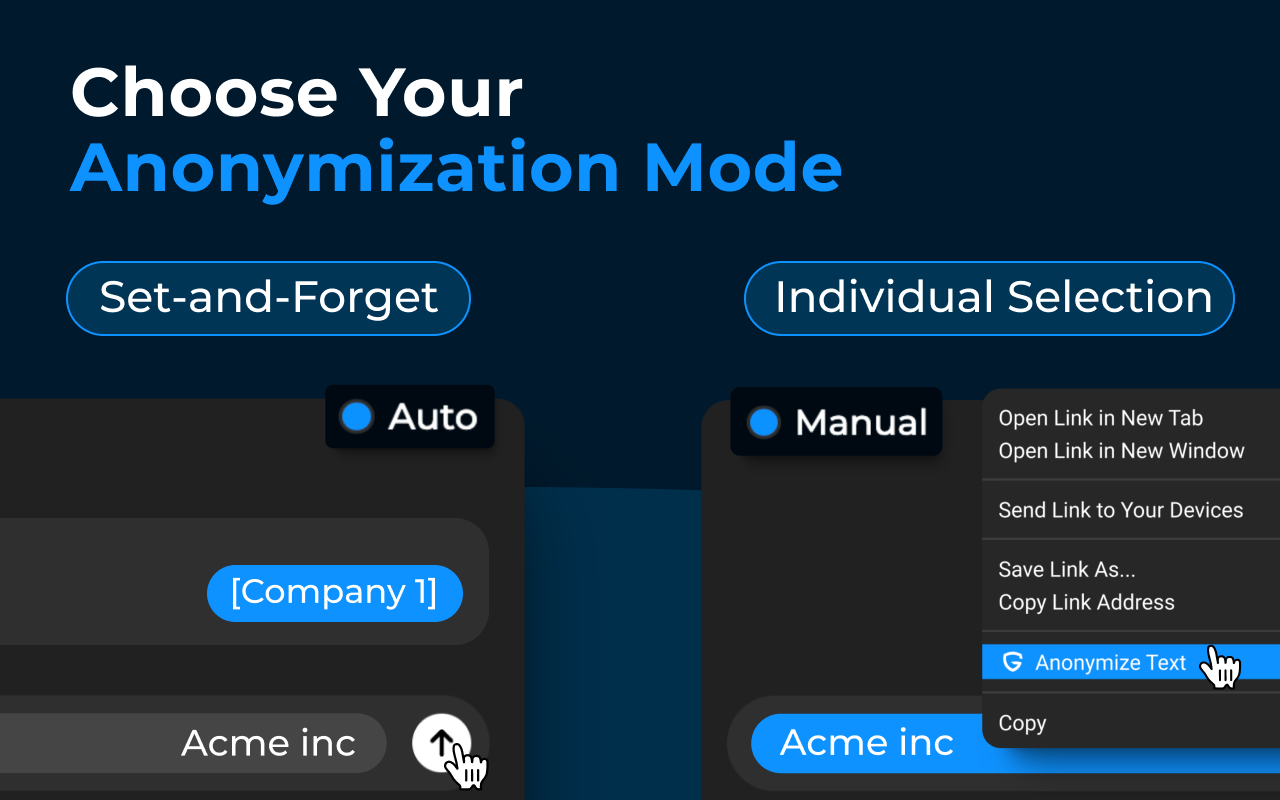 GPT Privacy: Anonymize your Chat GPT prompts - 截图 2