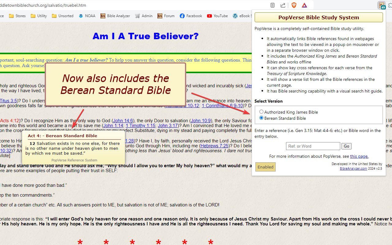 PopVerse Bible Study System - 截图 3