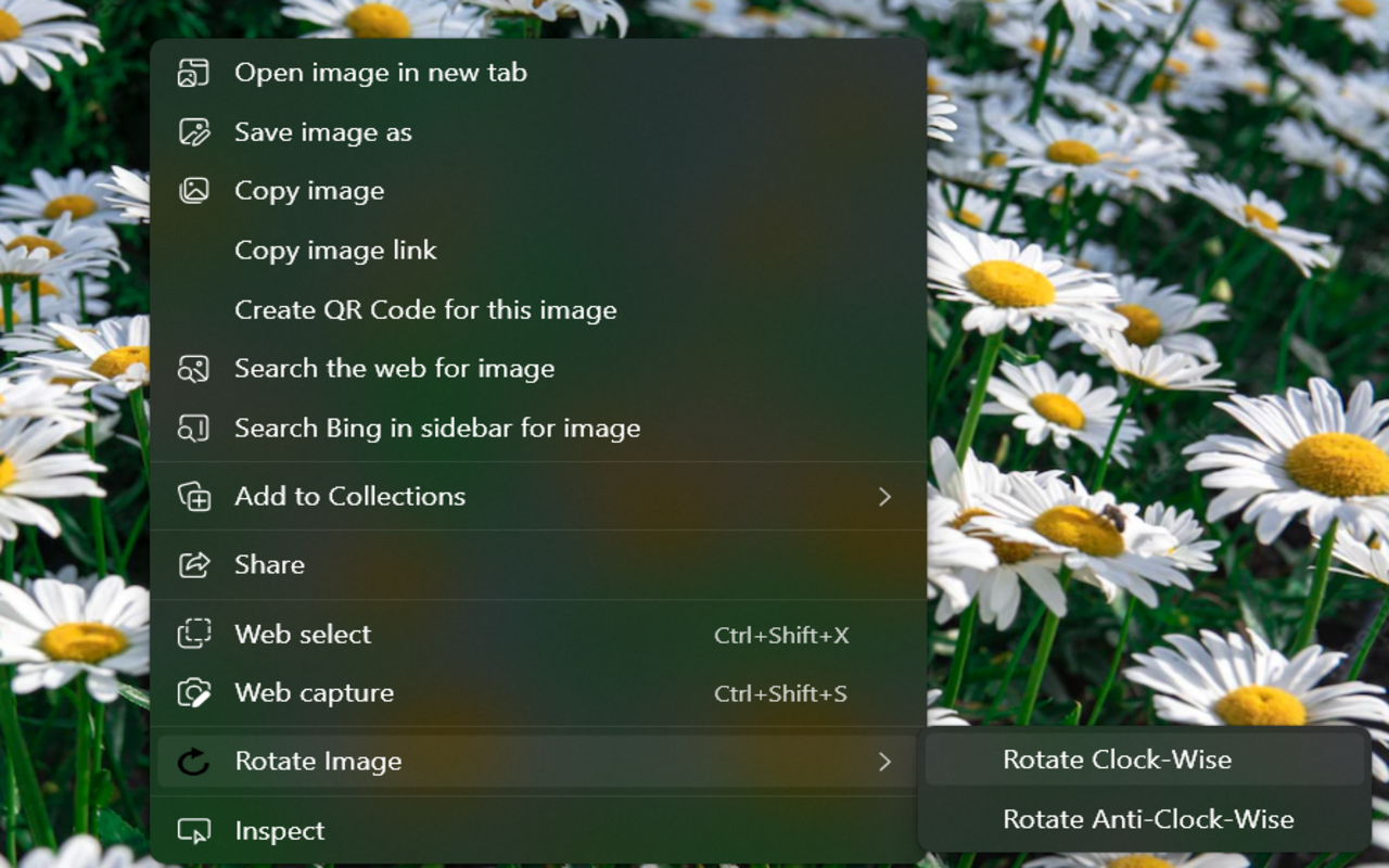 Image Rotator for WhatsApp™ Web - 截图 1