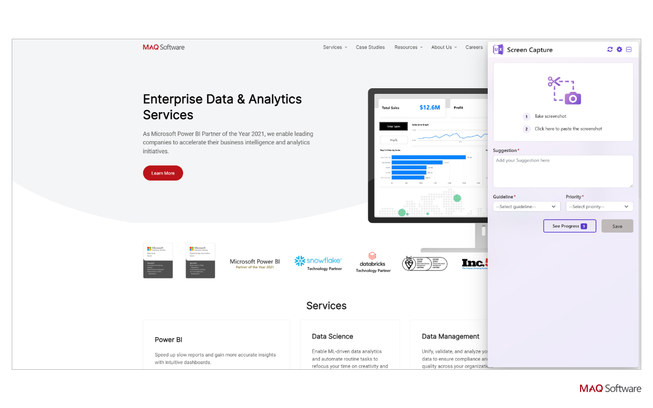 Screen Capture - A Review and Feedback Tool - 截图 2