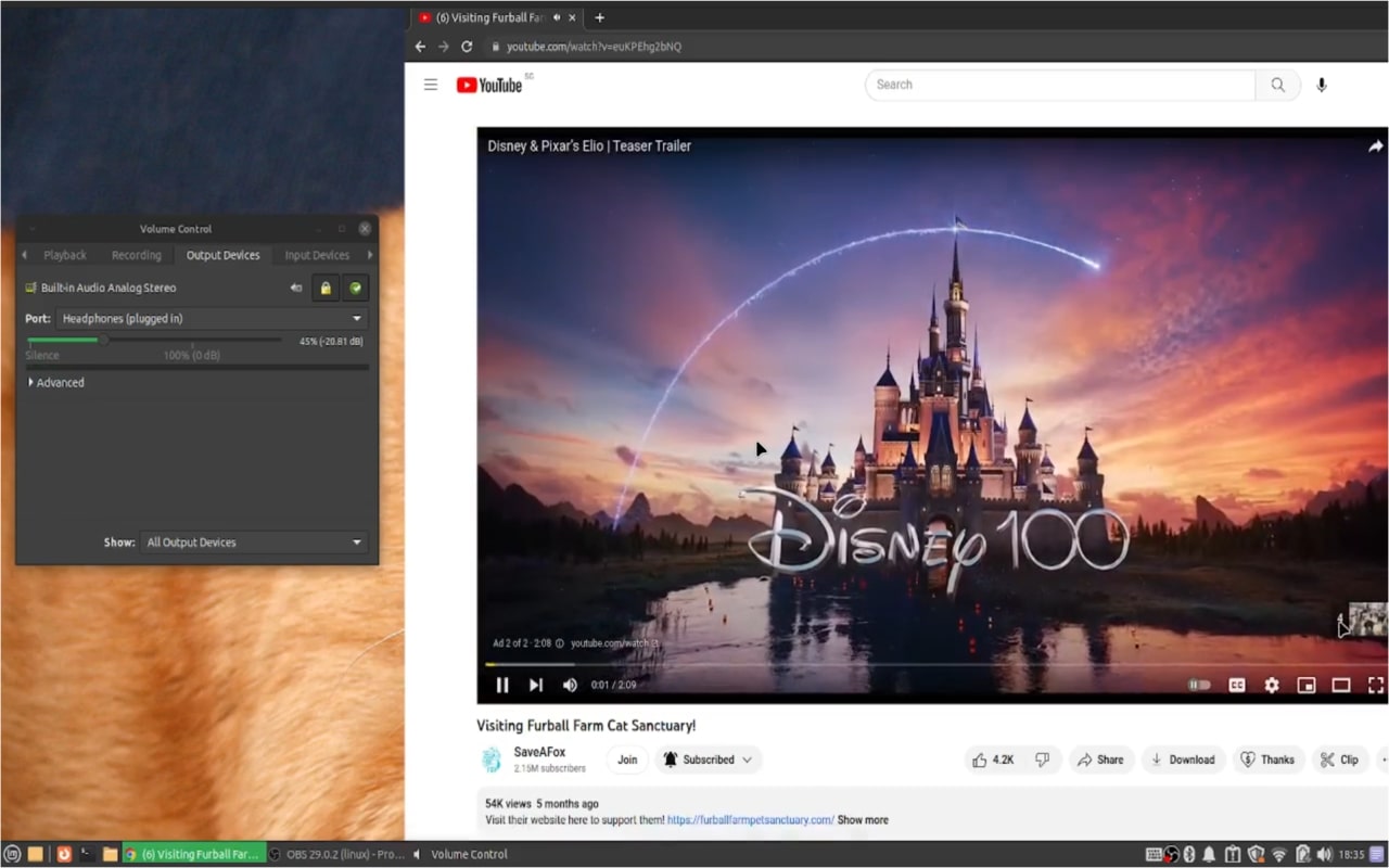 Youtube Ad Muter - 截图 3