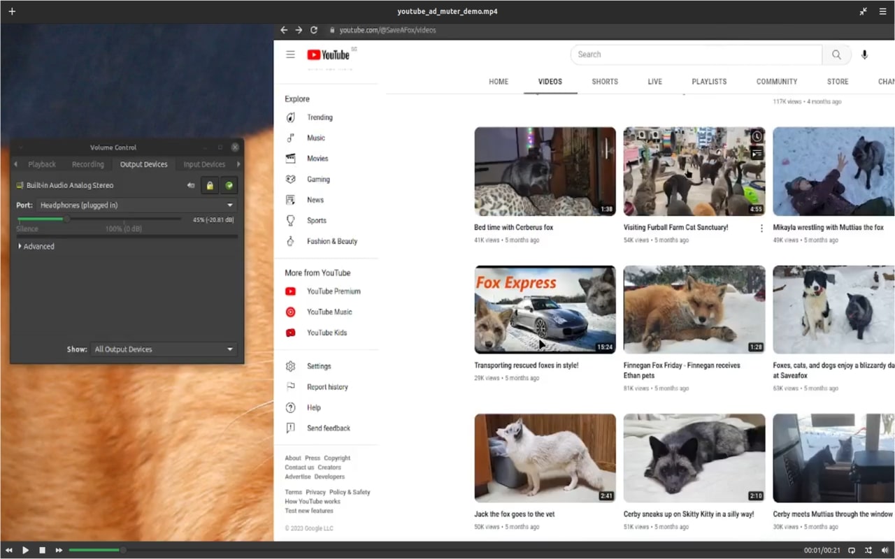Youtube Ad Muter - 截图 4