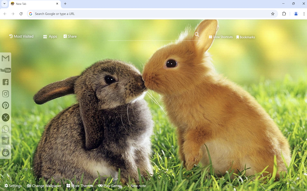 Bunny & Rabbit Wallpaper - 截图 1