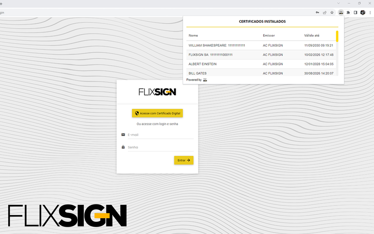 Flixsign Web PKI - 截图 2