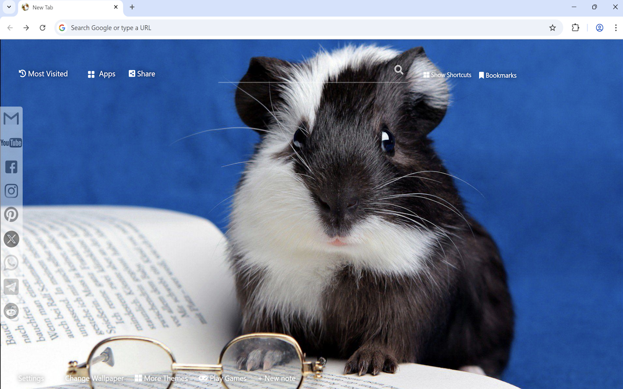 Guinea Pig Wallpaper - 截图 3