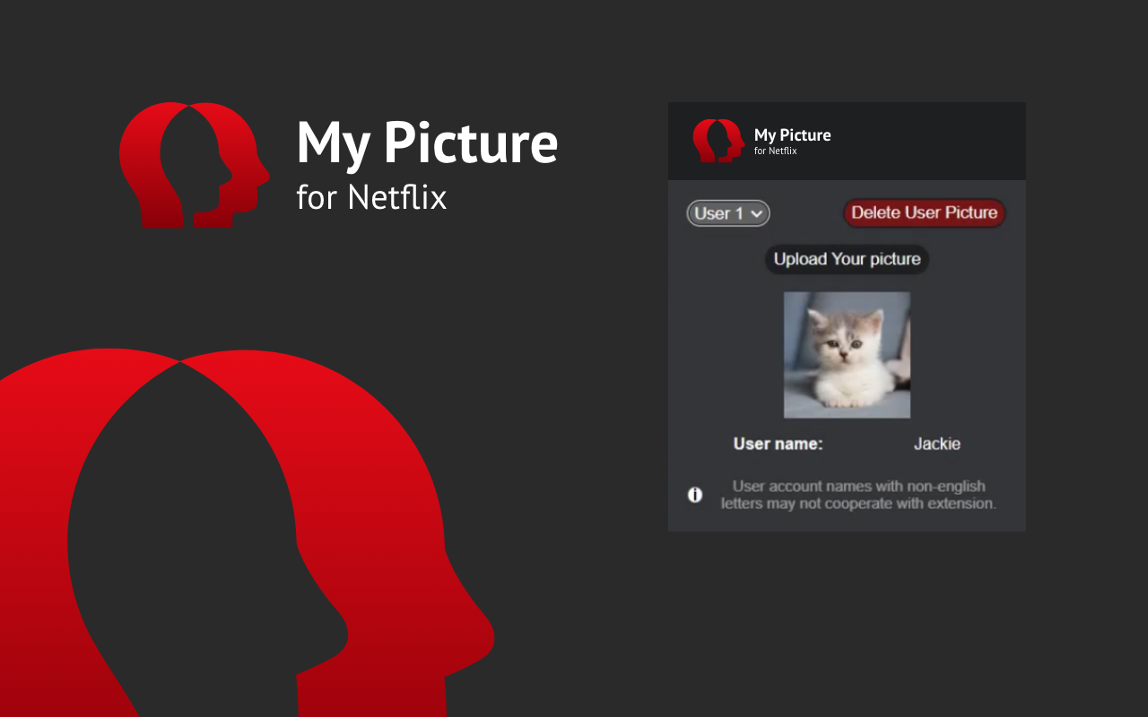 MyPicture for Netflix: custom profile picture - 截图 1