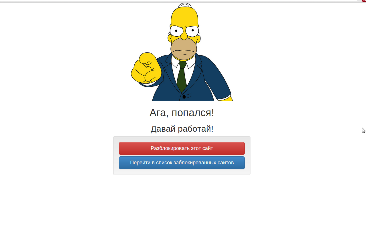 Site blocker. Don't dawdle! - 截图 2