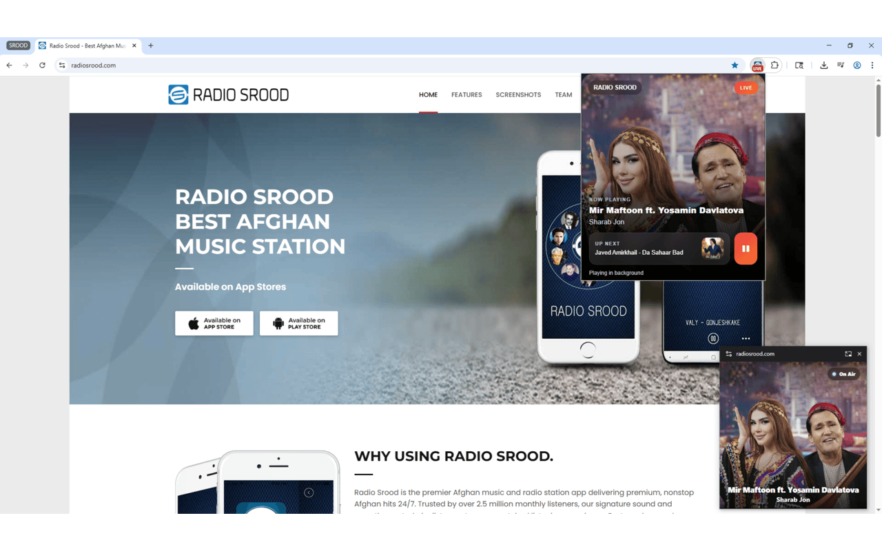 Radio Srood Mini Player - 截图 1