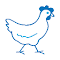 Rooster