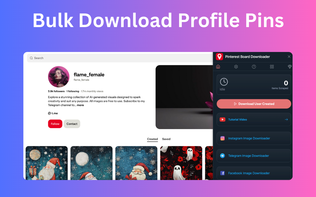 Pinterest Board Downloader - 截图 4