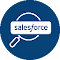 Entity Search for Salesforce