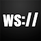 WebSocket Visualizer