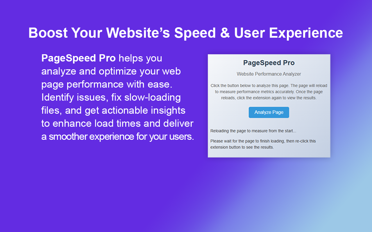PageSpeed Pro - Website Performance Analyzer - 截图 2