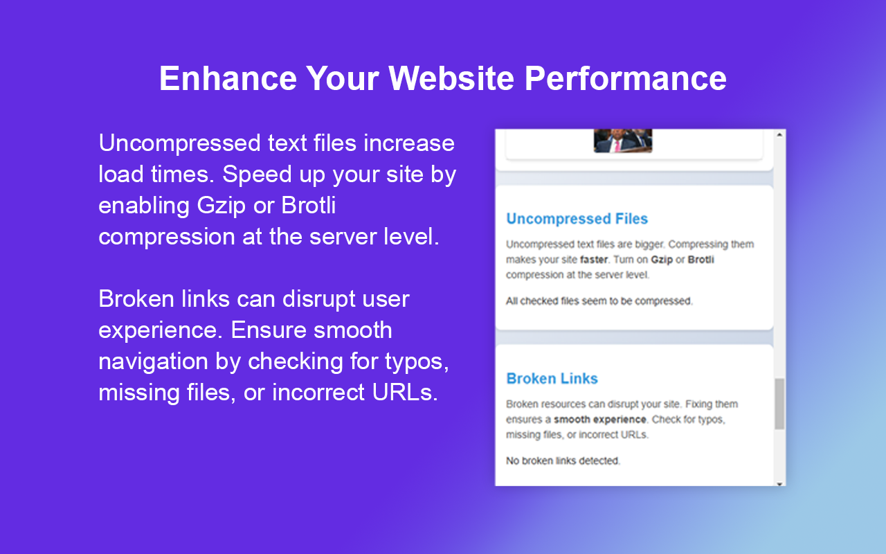 PageSpeed Pro - Website Performance Analyzer - 截图 5