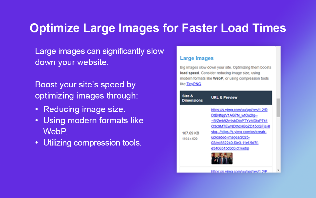 PageSpeed Pro - Website Performance Analyzer - 截图 6