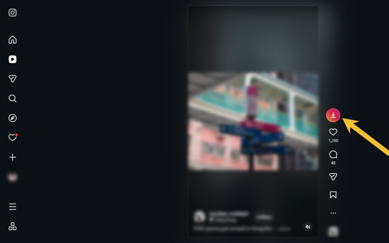 Instagram下载器专业版 - 下载Instagram视频、快拍(Story)、Reels及照片 - 截图 2