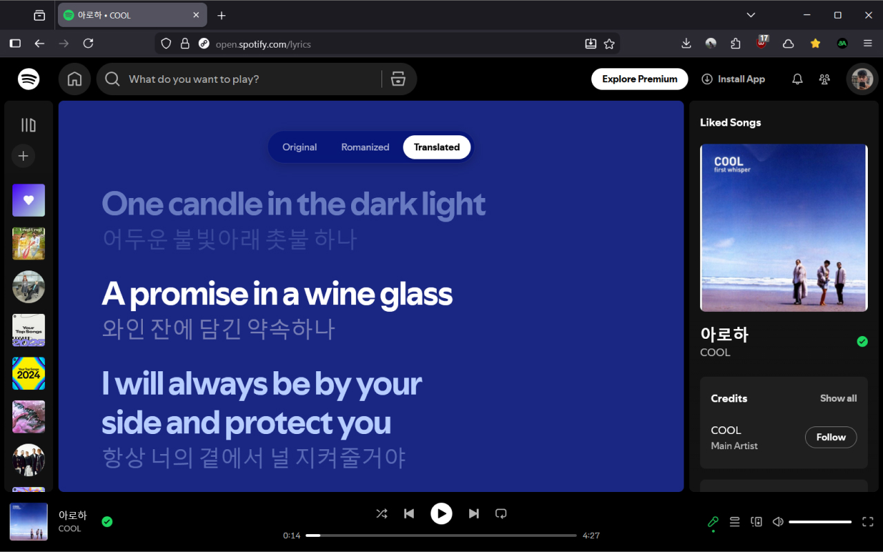 Spotify Karaoke - Fetches Missing Lyrics, Romanizes & Translates Songs - 截图 1