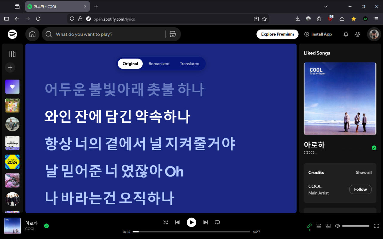 Spotify Karaoke - Fetches Missing Lyrics, Romanizes & Translates Songs - 截图 4