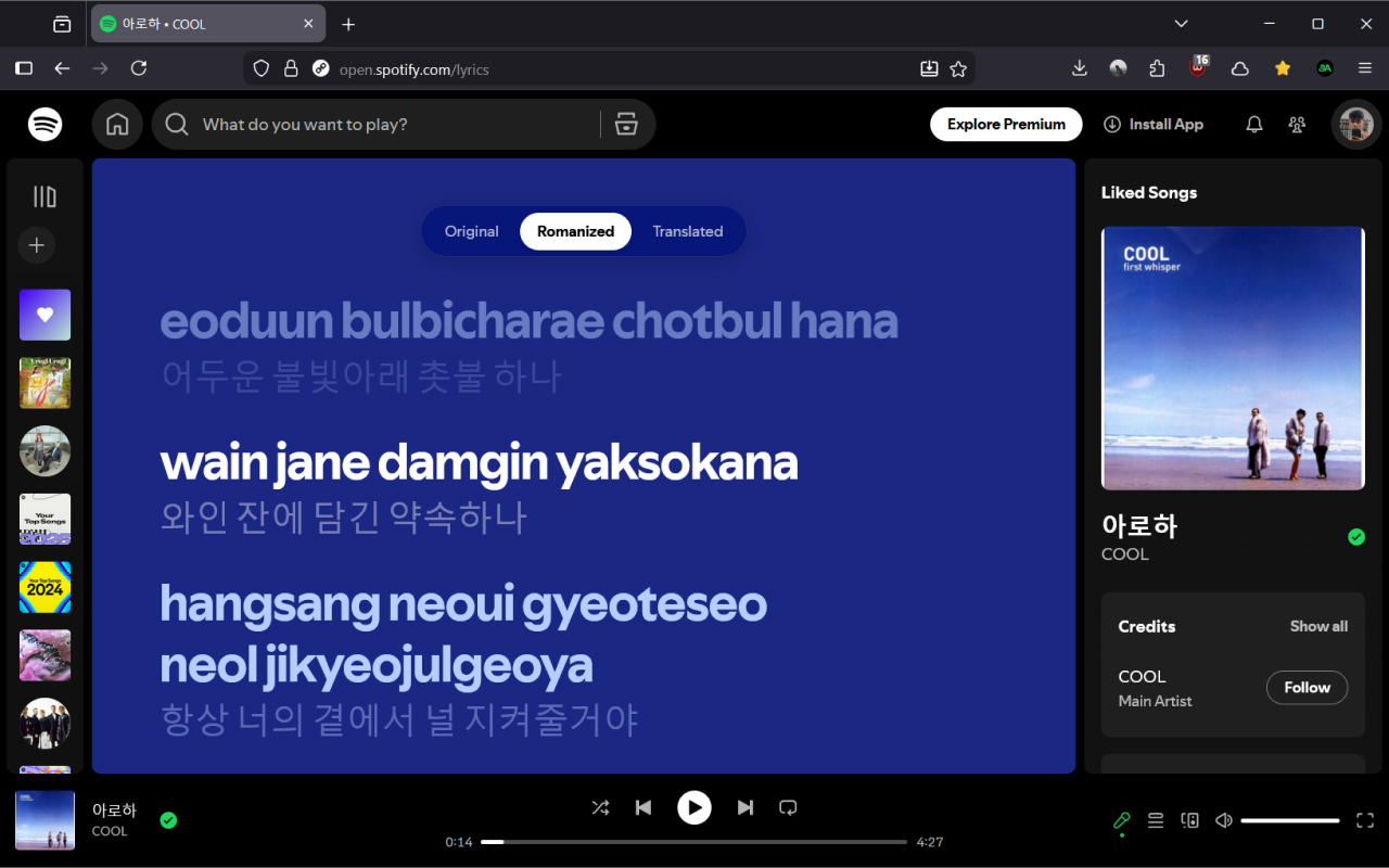 Spotify Karaoke - Fetches Missing Lyrics, Romanizes & Translates Songs - 截图 5