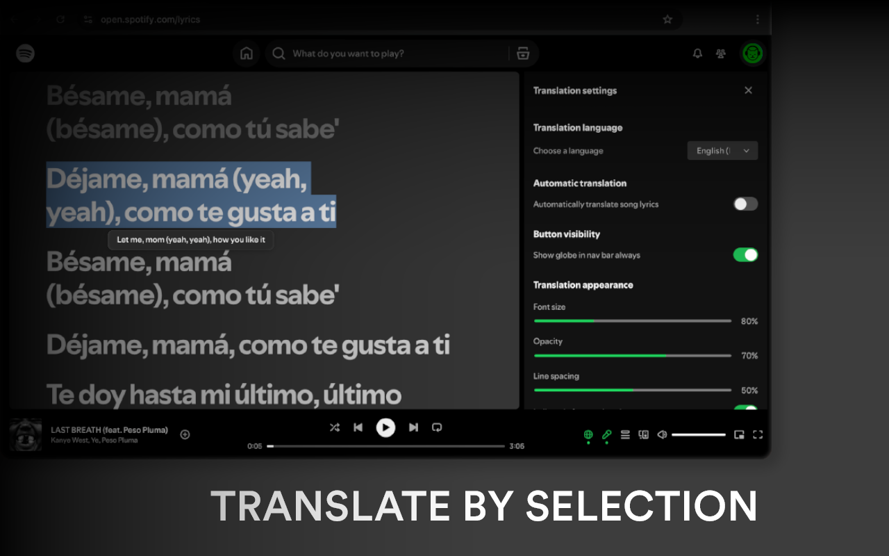 LyriCat – Spotify 歌词翻译器 - 截图 3