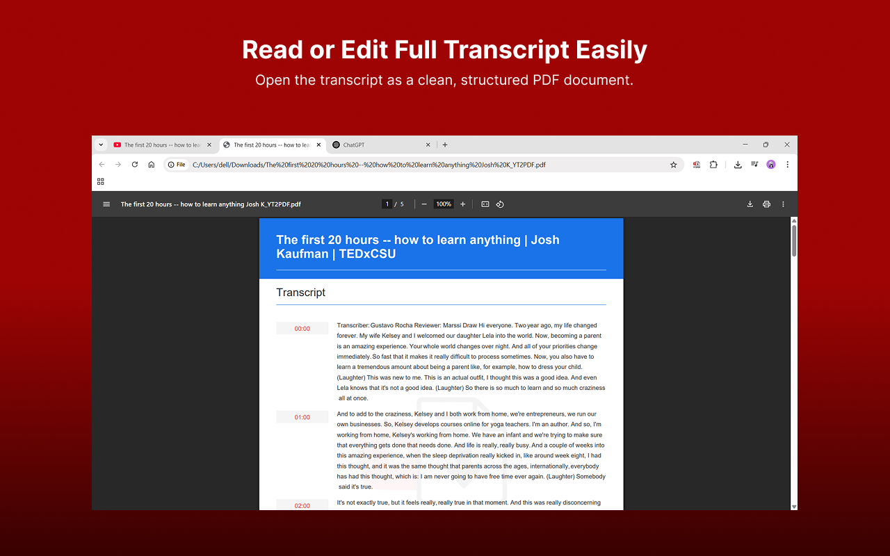 YT2PDF - YouTube Transcript Exporter - 截图 2
