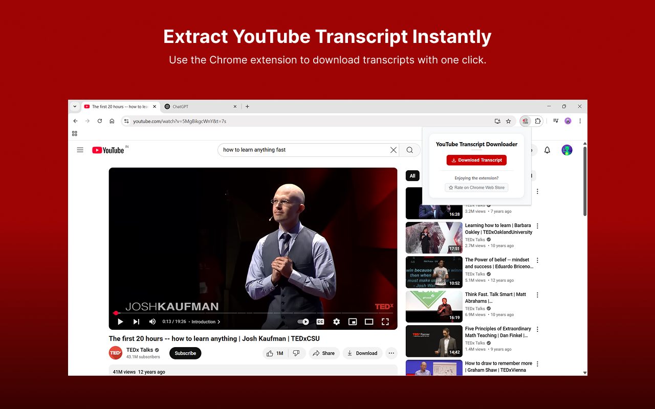 YT2PDF - YouTube Transcript Exporter - 截图 3