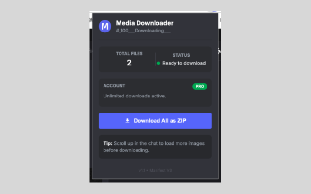 Discord Media Downloader – Discord Video & Image Download Tool - 截图 3