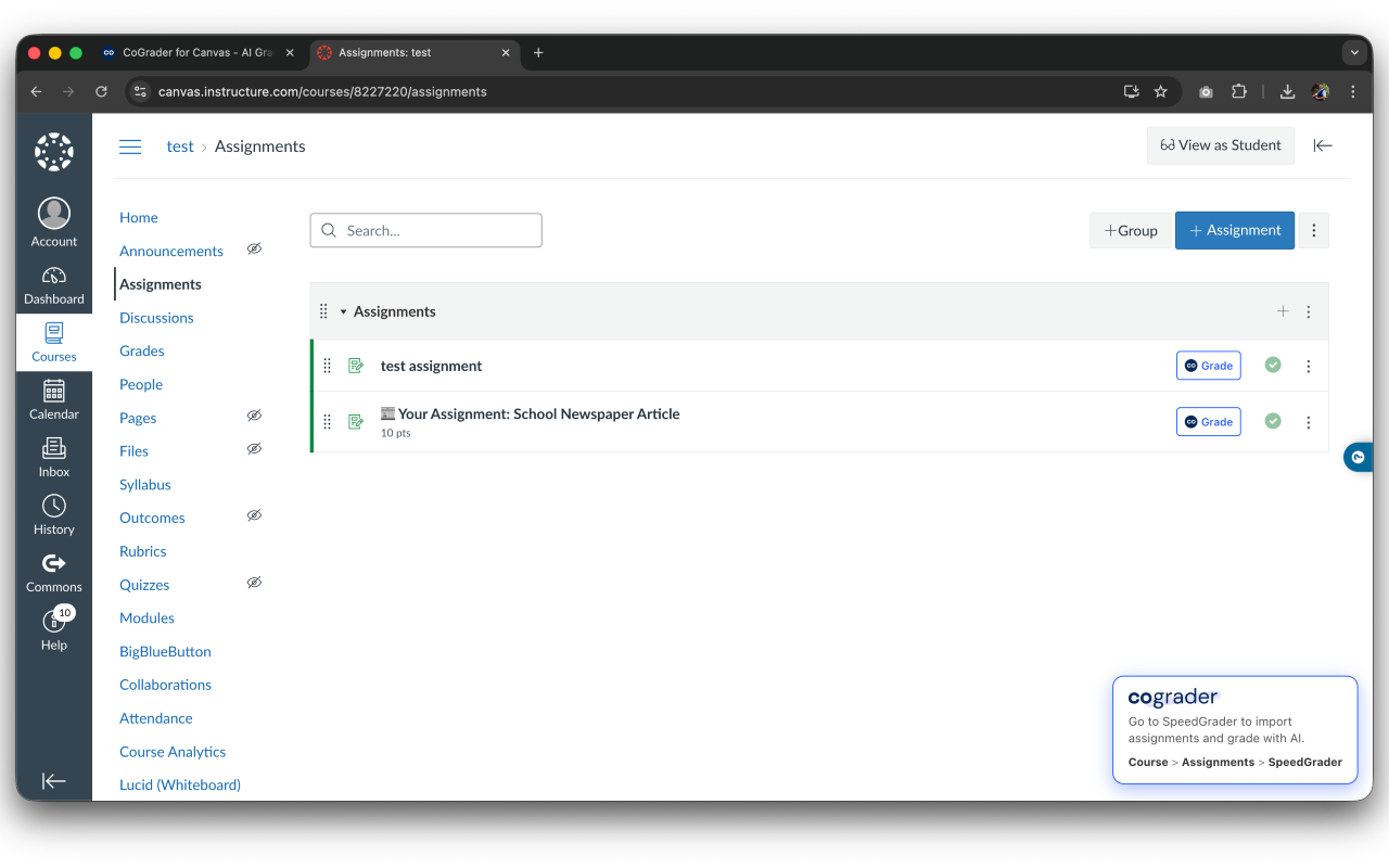 CoGrader for Canvas - AI Grader - 截图 1