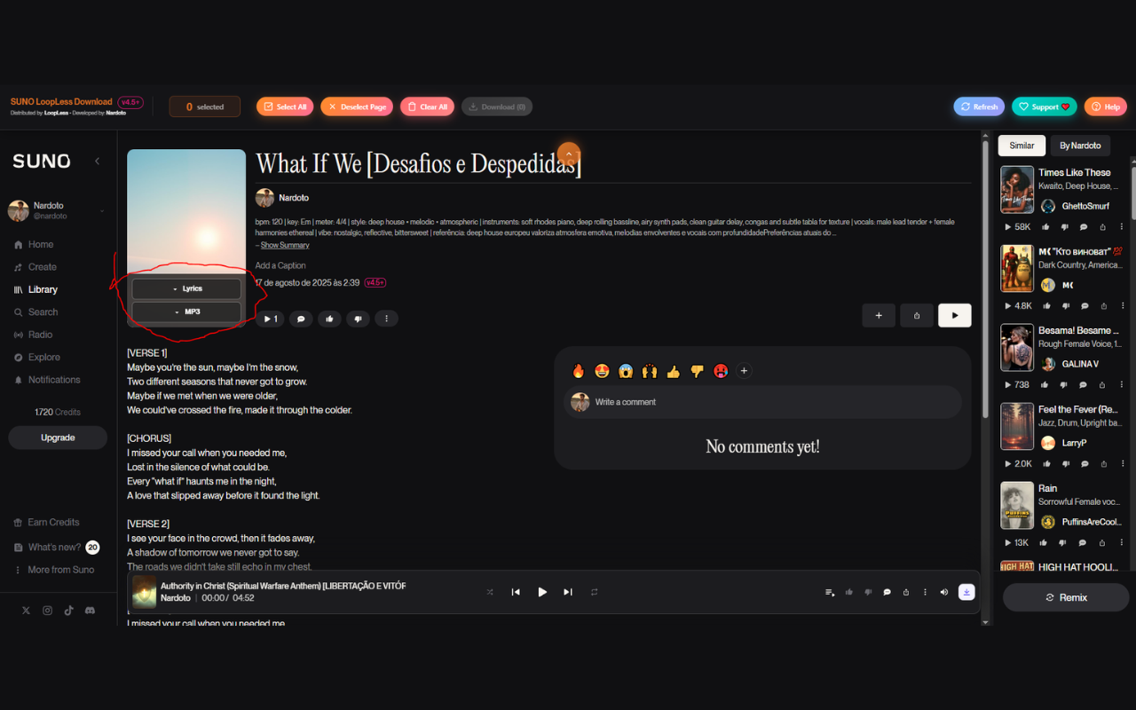SUNO LoopLess Download - 截图 2