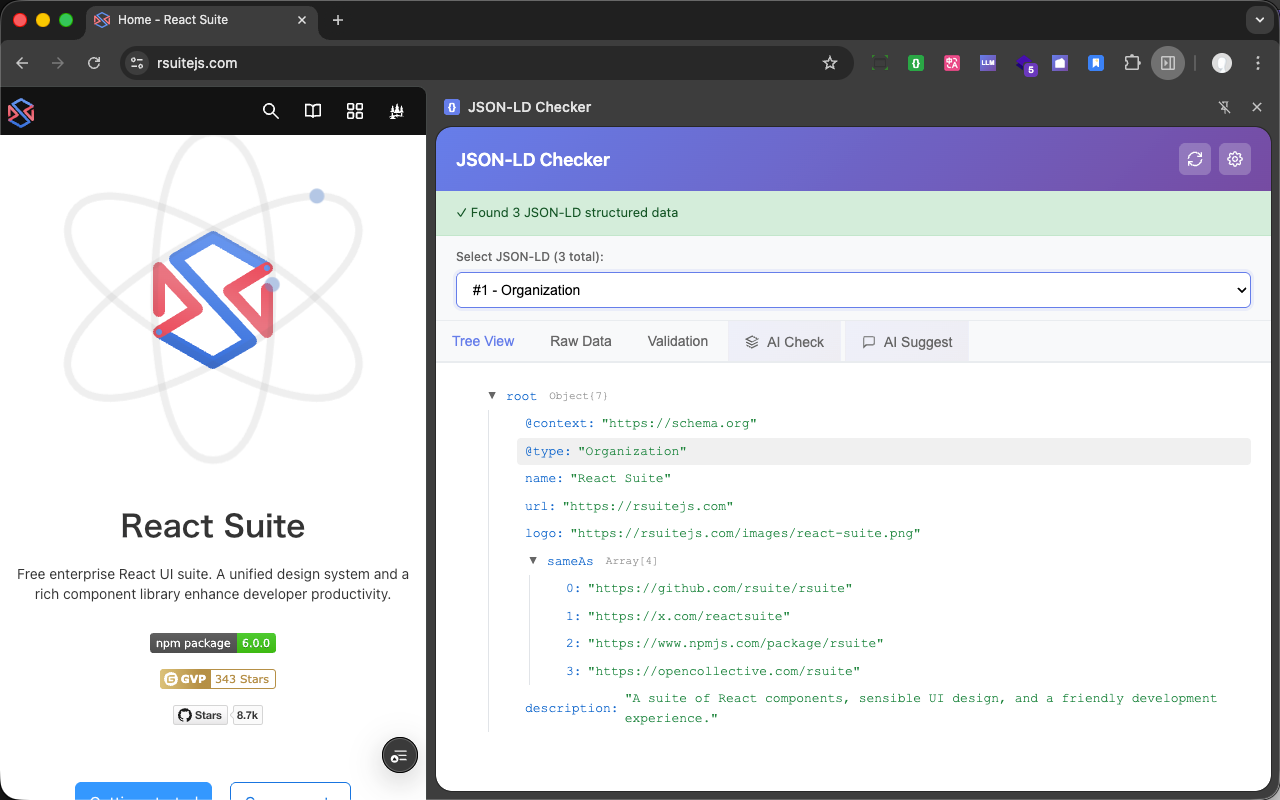 JSON-LD Checker - 截图 2