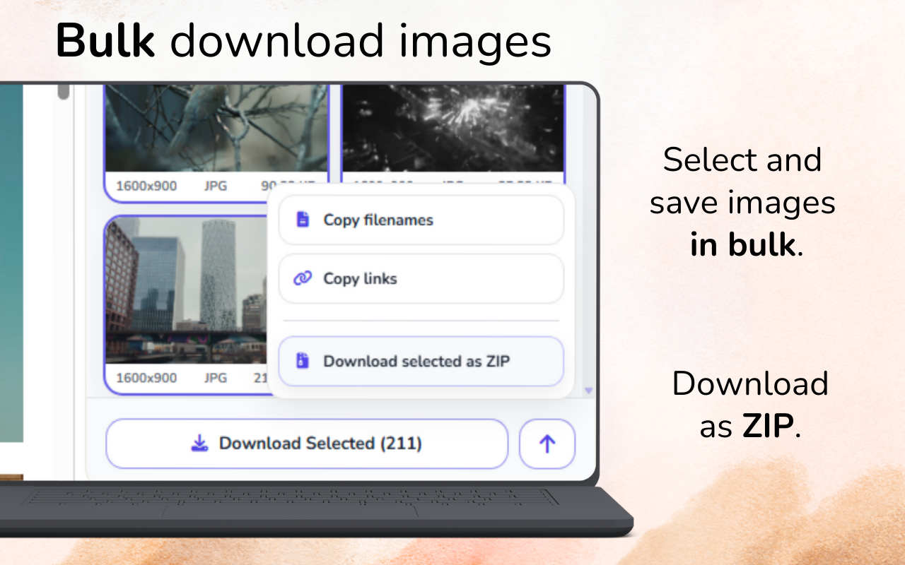 Image Downloader Pro - 批量下载网站图片 - 截图 5