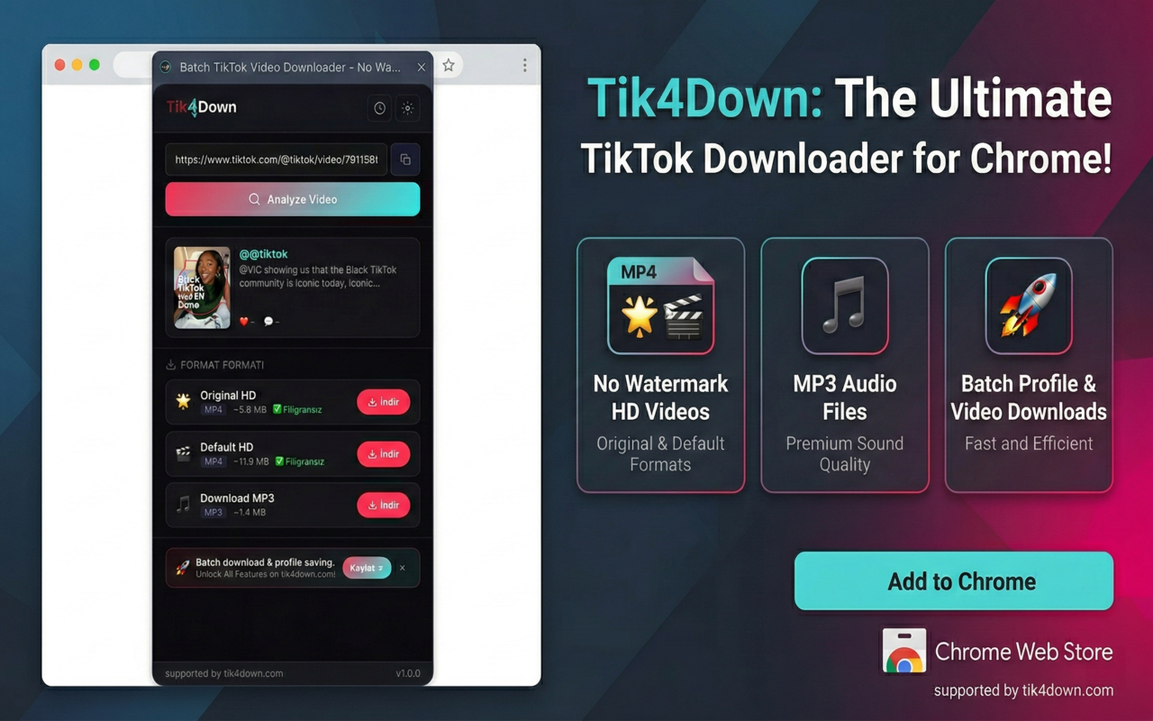 TikTok批量下载器 – 无水印 - 截图 2