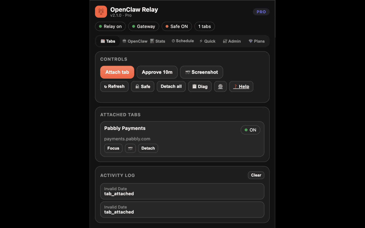 CheckFlow Browser Relay - 截图 2