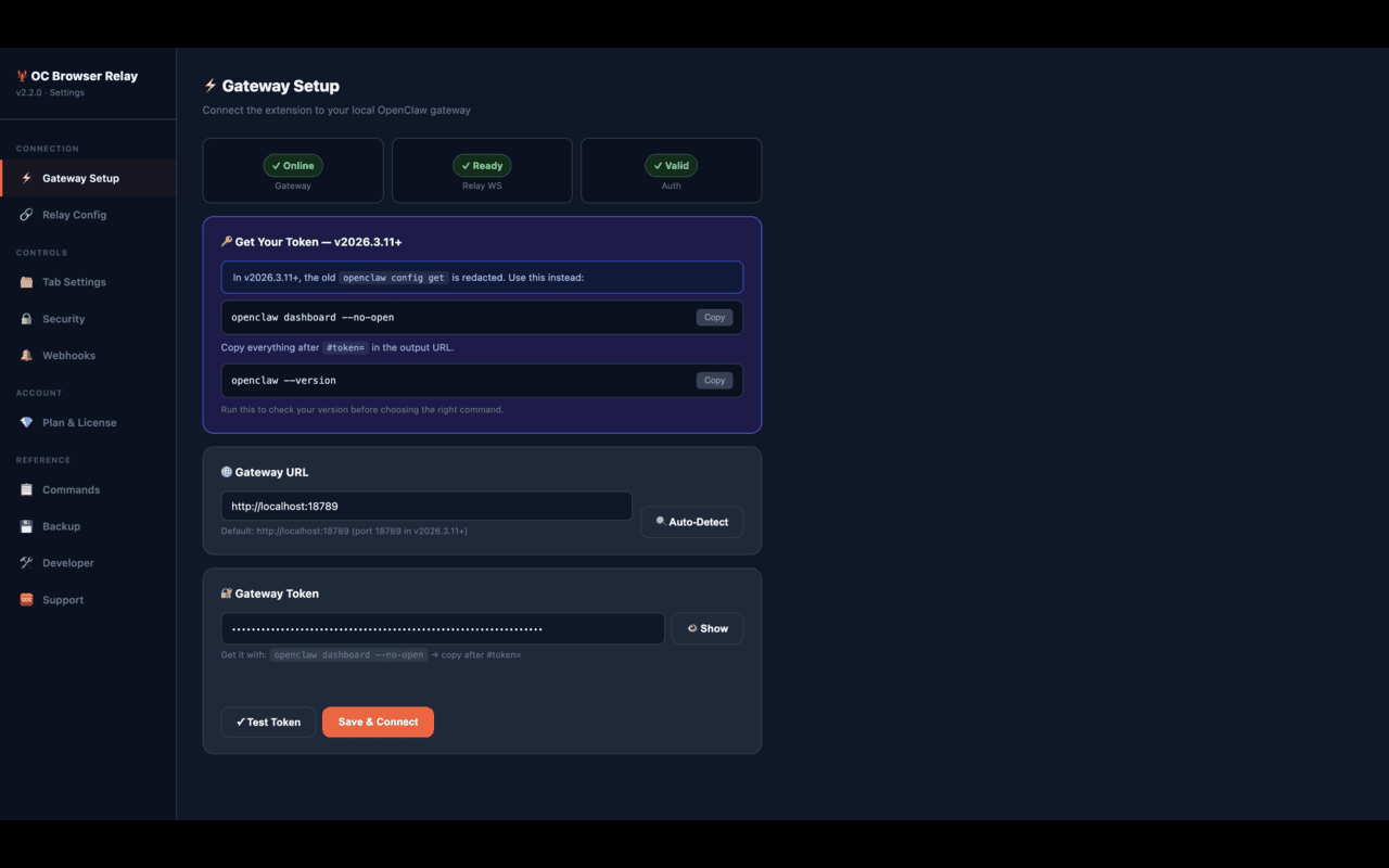 CheckFlow Browser Relay - 截图 3