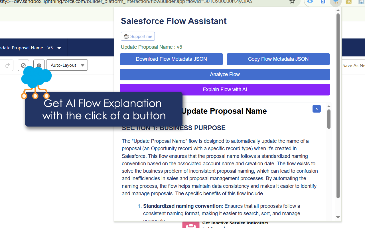 Salesforce Flow Assistant v2 - 截图 3