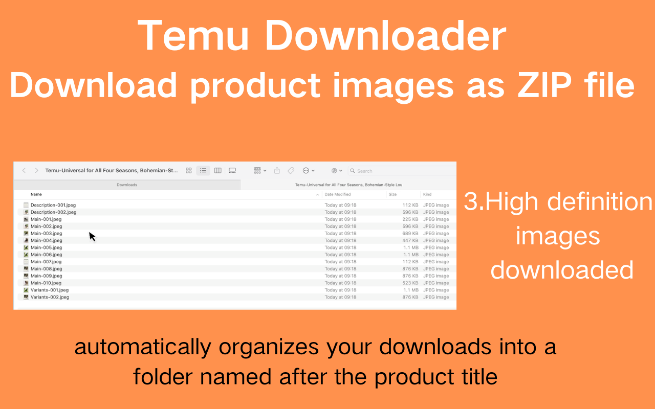 Temu 下载器|将产品图片下载为 ZIP 文件 - 截图 4