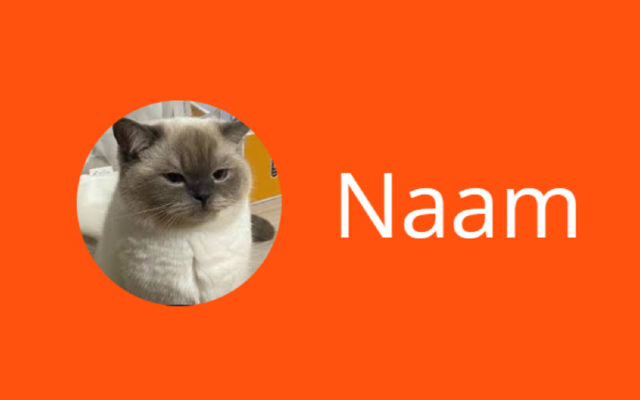 Smartschool Katten - 截图 2